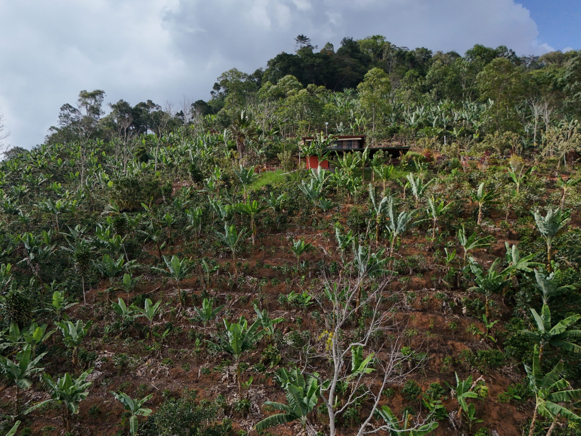 Aerial view of Leiva family farm